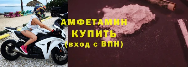 трава Корсаков