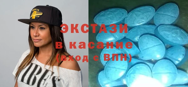 трава Корсаков