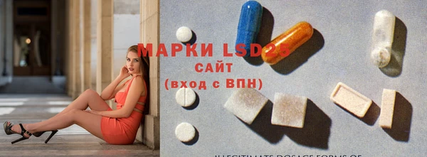 трава Корсаков