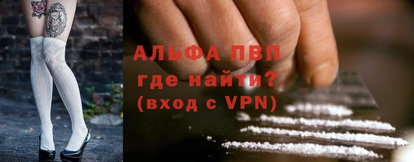 трава Корсаков