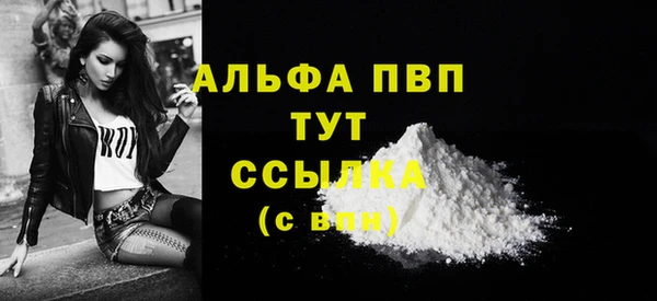 трава Корсаков
