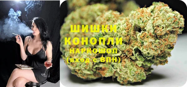 трава Корсаков