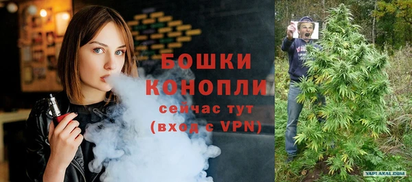 трава Корсаков