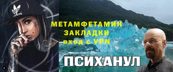 трава Корсаков