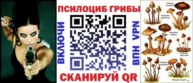 Галлюциногенные грибы мухоморы  Купить где  Шахунья 